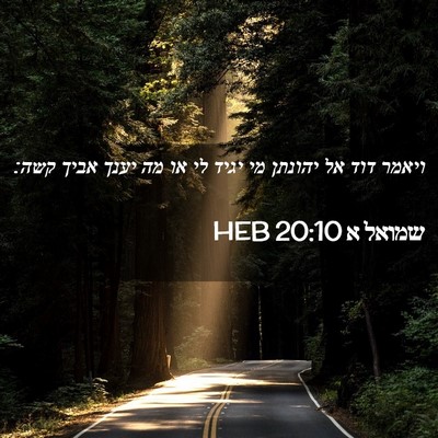 Picture 02 - שמואל א 20:10 HEB - ויאמר דוד אל יהונתן מי יגיד - Bible Verse Picture