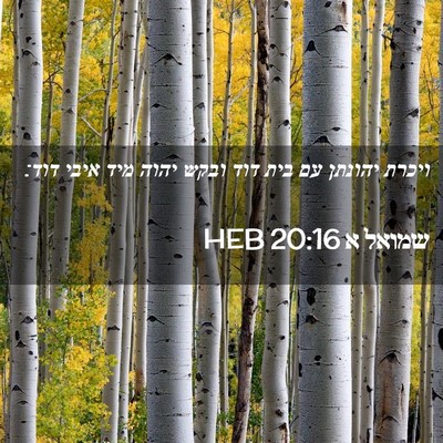 Picture 02 - שמואל א 20:16 HEB - ויכרת יהונתן עם בית דוד - Bible Verse Picture