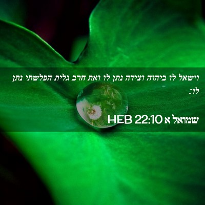 Picture 02 - שמואל א 22:10 HEB - וישאל לו ביהוה וצידה נתן לו - Bible Verse Picture