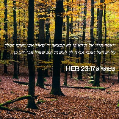 Picture 02 - שמואל א 23:17 HEB - ויאמר אליו אל תירא כי לא - Bible Verse Picture