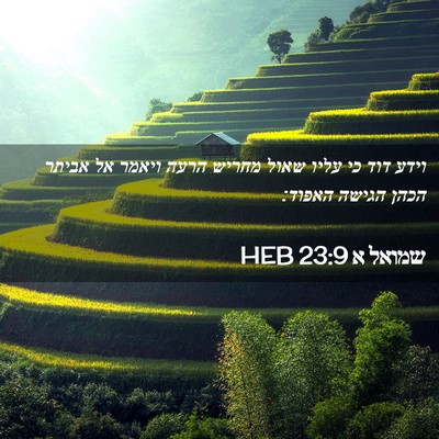 Picture 02 - שמואל א 23:9 HEB - וידע דוד כי עליו שאול מחריש - Bible Verse Picture