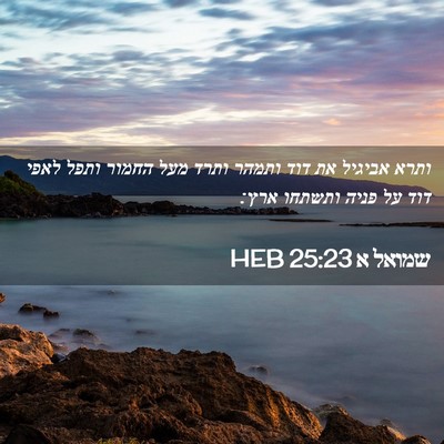 Picture 02 - שמואל א 25:23 HEB - ותרא אביגיל את דוד ותמהר - Bible Verse Picture