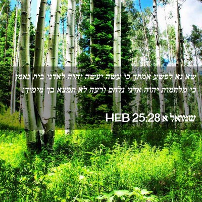 Picture 02 - שמואל א 25:28 HEB - שא נא לפשע אמתך כי עשה יעשה - Bible Verse Picture