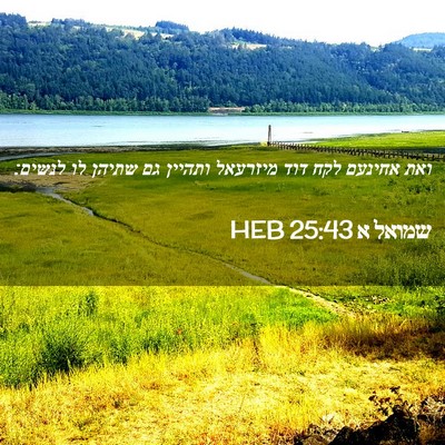Picture 02 - שמואל א 25:43 HEB - ואת אחינעם לקח דוד מיזרעאל - Bible Verse Picture