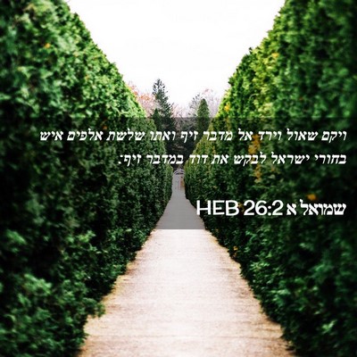 Picture 02 - שמואל א 26:2 HEB - ויקם שאול וירד אל מדבר זיף - Bible Verse Picture