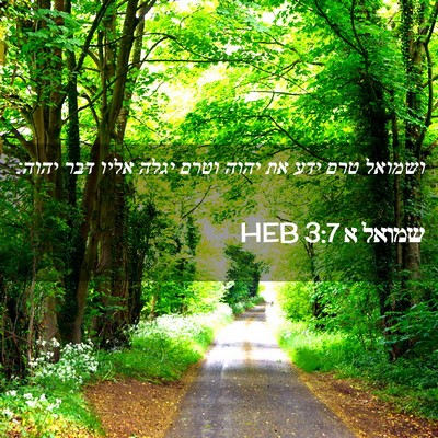 Picture 02 - שמואל א 3:7 HEB - ושמואל טרם ידע את יהוה וטרם - Bible Verse Picture