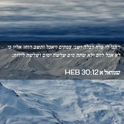 Picture 02 - שמואל א 30:12 HEB - ויתנו לו פלח דבלה ושני - Bible Verse Picture
