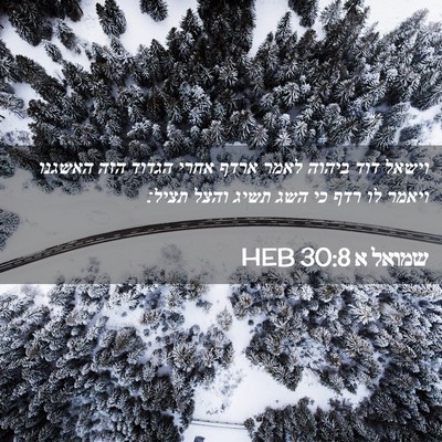 Picture 02 - שמואל א 30:8 HEB - וישאל דוד ביהוה לאמר ארדף - Bible Verse Picture