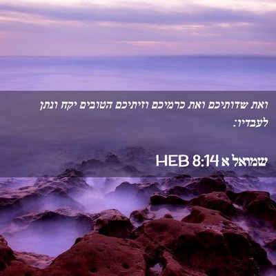 Picture 02 - שמואל א 8:14 HEB - ואת שדותיכם ואת כרמיכם - Bible Verse Picture