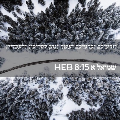 Picture 02 - שמואל א 8:15 HEB - וזרעיכם וכרמיכם יעשר ונתן - Bible Verse Picture