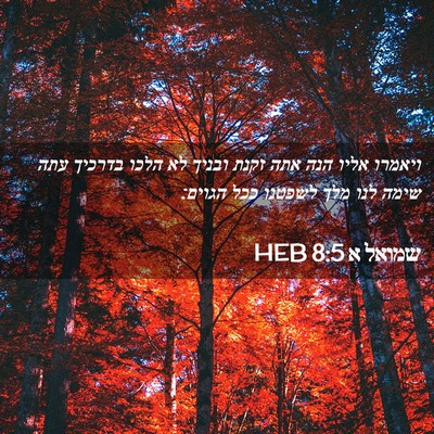 Picture 02 - שמואל א 8:5 HEB - ויאמרו אליו הנה אתה זקנת - Bible Verse Picture