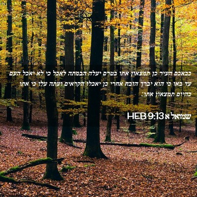 Picture 02 - שמואל א 9:13 HEB - כבאכם העיר כן תמצאון אתו - Bible Verse Picture