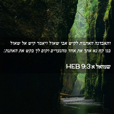 Picture 02 - שמואל א 9:3 HEB - ותאבדנה האתנות לקיש אבי - Bible Verse Picture