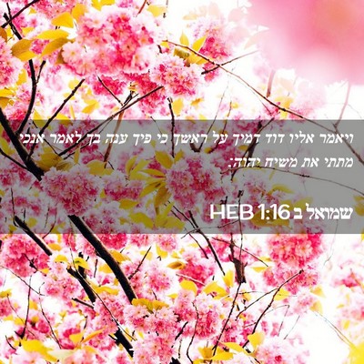 Picture 02 - שמואל ב 1:16 HEB - ויאמר אליו דוד דמיך על ראשך - Bible Verse Picture