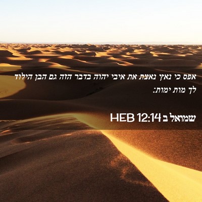Picture 02 - שמואל ב 12:14 HEB - אפס כי נאץ נאצת את איבי - Bible Verse Picture