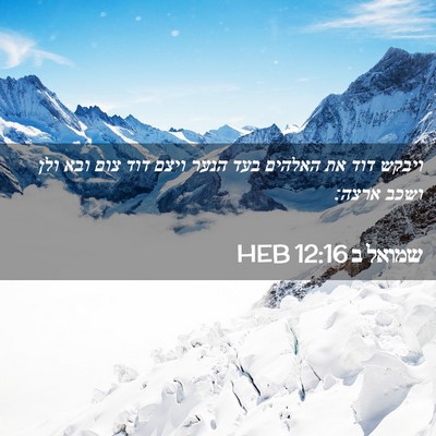 Picture 02 - שמואל ב 12:16 HEB - ויבקש דוד את האלהים בעד - Bible Verse Picture