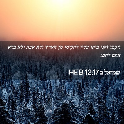 Picture 02 - שמואל ב 12:17 HEB - ויקמו זקני ביתו עליו - Bible Verse Picture