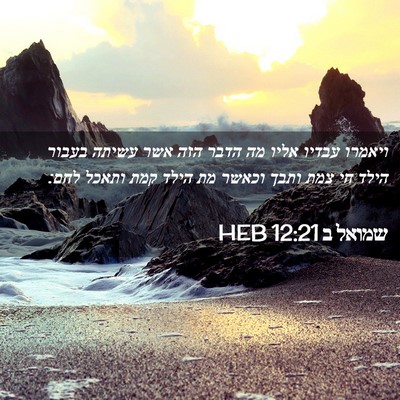 Picture 02 - שמואל ב 12:21 HEB - ויאמרו עבדיו אליו מה הדבר - Bible Verse Picture