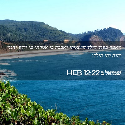 Picture 02 - שמואל ב 12:22 HEB - ויאמר בעוד הילד חי צמתי - Bible Verse Picture