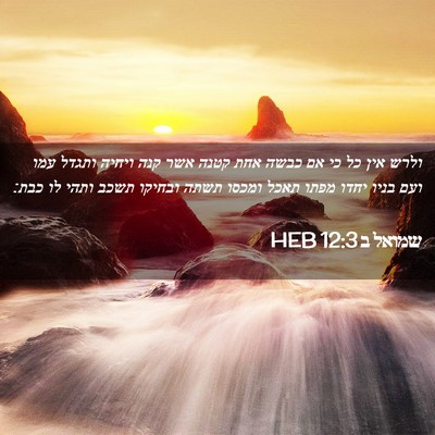 Picture 02 - שמואל ב 12:3 HEB - ולרש אין כל כי אם כבשה אחת - Bible Verse Picture