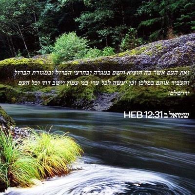 Picture 02 - שמואל ב 12:31 HEB - ואת העם אשר בה הוציא וישם - Bible Verse Picture