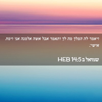 Picture 02 - שמואל ב 14:5 HEB - ויאמר לה המלך מה לך ותאמר - Bible Verse Picture