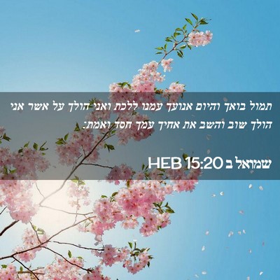 Picture 02 - שמואל ב 15:20 HEB - תמול בואך והיום אנועך עמנו - Bible Verse Picture