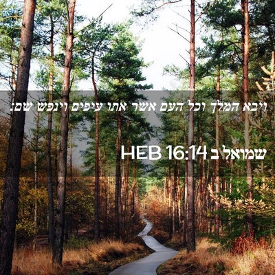 Picture 02 - שמואל ב 16:14 HEB - ויבא המלך וכל העם אשר אתו - Bible Verse Picture