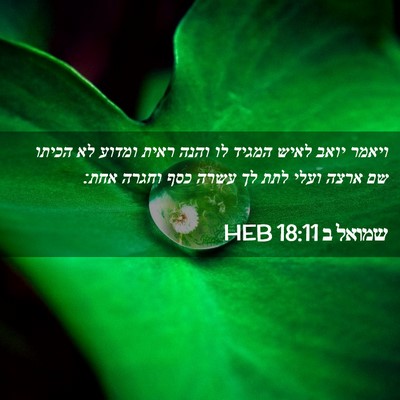 Picture 02 - שמואל ב 18:11 HEB - ויאמר יואב לאיש המגיד לו - Bible Verse Picture