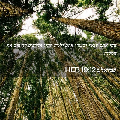 Picture 02 - שמואל ב 19:12 HEB - אחי אתם עצמי ובשרי אתם ולמה - Bible Verse Picture