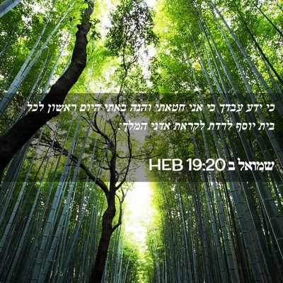 Picture 02 - שמואל ב 19:20 HEB - כי ידע עבדך כי אני חטאתי - Bible Verse Picture