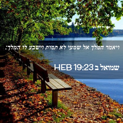 Picture 02 - שמואל ב 19:23 HEB - ויאמר המלך אל שמעי לא תמות - Bible Verse Picture
