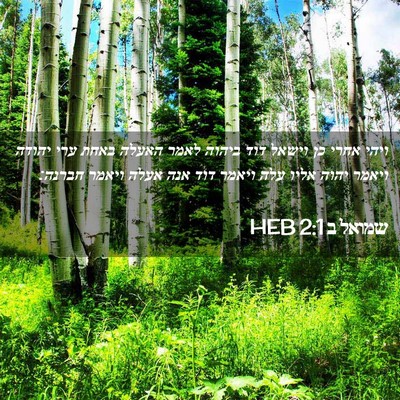 Picture 02 - שמואל ב 2:1 HEB - ויהי אחרי כן וישאל דוד - Bible Verse Picture
