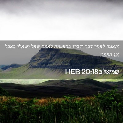 Picture 02 - שמואל ב 20:18 HEB - ותאמר לאמר דבר ידברו - Bible Verse Picture