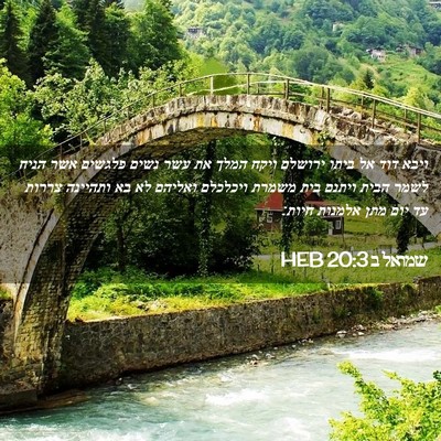 Picture 02 - שמואל ב 20:3 HEB - ויבא דוד אל ביתו ירושלם - Bible Verse Picture