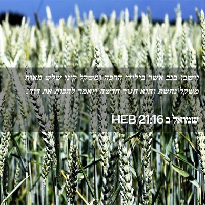 Picture 02 - שמואל ב 21:16 HEB - וישבו בנב אשר בילידי הרפה - Bible Verse Picture