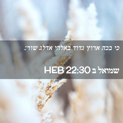 Picture 02 - שמואל ב 22:30 HEB - כי בכה ארוץ גדוד באלהי אדלג - Bible Verse Picture