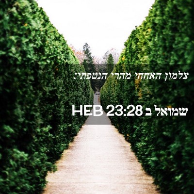 Picture 02 - שמואל ב 23:28 HEB - צלמון האחחי מהרי - Bible Verse Picture