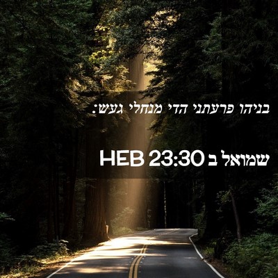 Picture 02 - שמואל ב 23:30 HEB - בניהו פרעתני הדי מנחלי - Bible Verse Picture