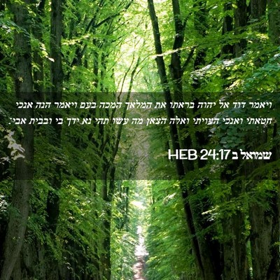 Picture 02 - שמואל ב 24:17 HEB - ויאמר דוד אל יהוה בראתו את - Bible Verse Picture