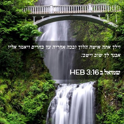 Picture 02 - שמואל ב 3:16 HEB - וילך אתה אישה הלוך ובכה - Bible Verse Picture