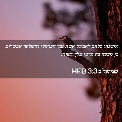 Picture 02 - שמואל ב 3:3 HEB - ומשנהו כלאב לאביגל אשת נבל - Bible Verse Picture
