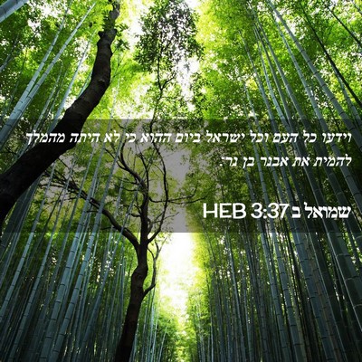 Picture 02 - שמואל ב 3:37 HEB - וידעו כל העם וכל ישראל ביום - Bible Verse Picture
