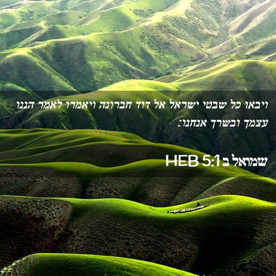 Picture 02 - שמואל ב 5:1 HEB - ויבאו כל שבטי ישראל אל דוד - Bible Verse Picture