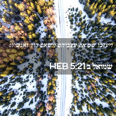 Picture 02 - שמואל ב 5:21 HEB - ויעזבו שם את עצביהם וישאם - Bible Verse Picture