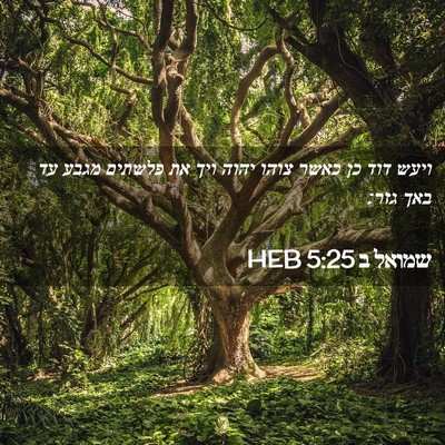 Picture 02 - שמואל ב 5:25 HEB - ויעש דוד כן כאשר צוהו יהוה - Bible Verse Picture