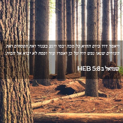 Picture 02 - שמואל ב 5:8 HEB - ויאמר דוד ביום ההוא כל מכה - Bible Verse Picture