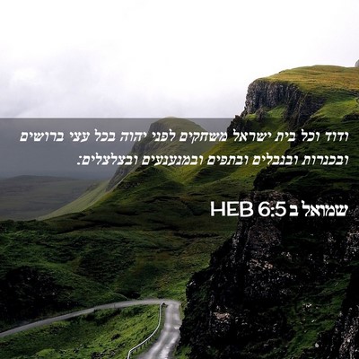 Picture 02 - שמואל ב 6:5 HEB - ודוד וכל בית ישראל משחקים - Bible Verse Picture