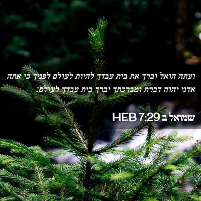 Picture 02 - שמואל ב 7:29 HEB - ועתה הואל וברך את בית עבדך - Bible Verse Picture