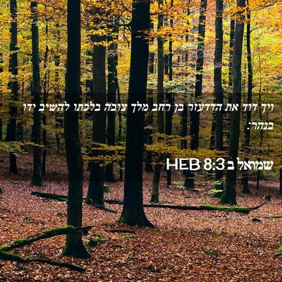 Picture 02 - שמואל ב 8:3 HEB - ויך דוד את הדדעזר בן רחב - Bible Verse Picture